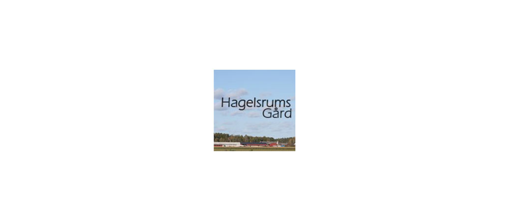Hagelsrum biogas – försäljning av fackla samt uppdatering av biogasanläggningens styrsystem